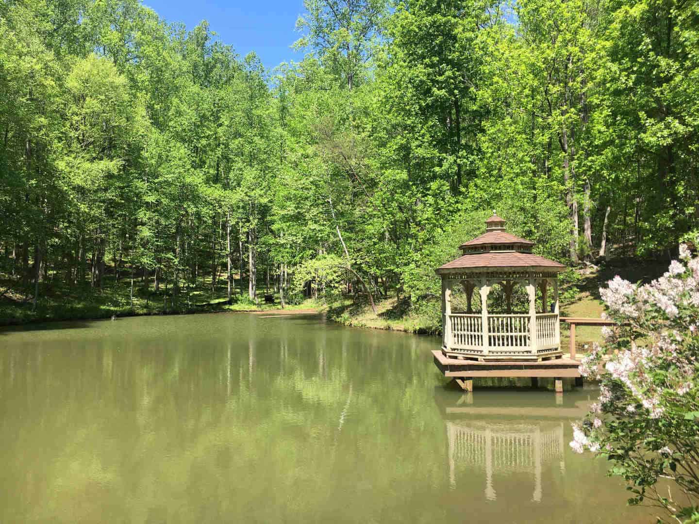 Gazebo on the pond at the Sanctuary