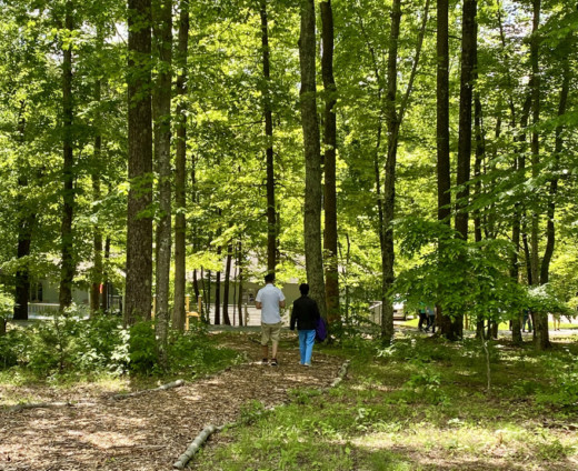Two people walking through woods