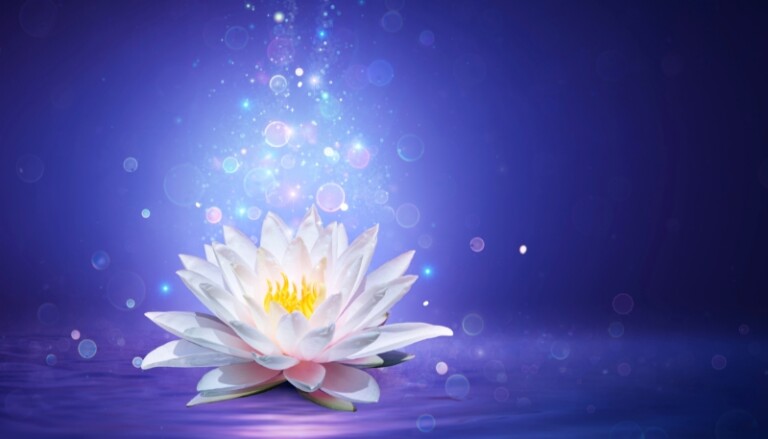 Beautiful white lotus flower with violet background and sparkles of light pouring into it
