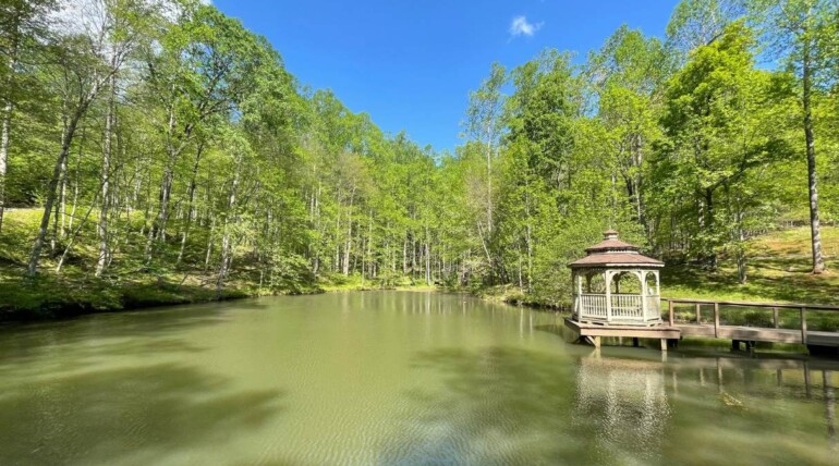 A photo of the Sanctuary pond in summer. Lush green forest surrounds the still pond with a gazebo on the right side. Blue skies.