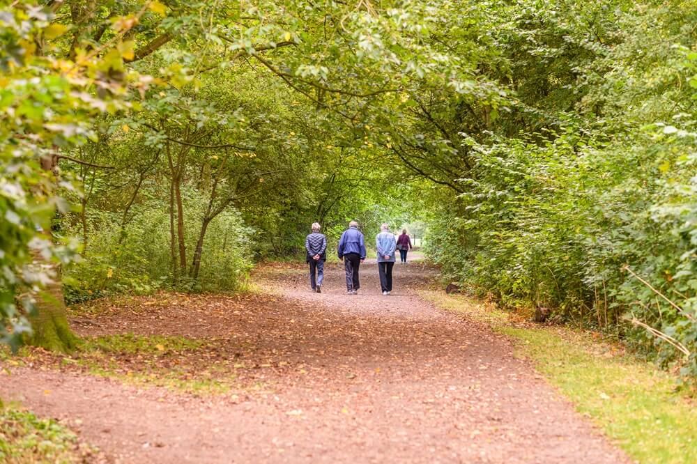 people-strolling-down-wooded-path