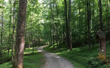 Walking path surrounded by lush forest at the Sanctuary Retreat Center.